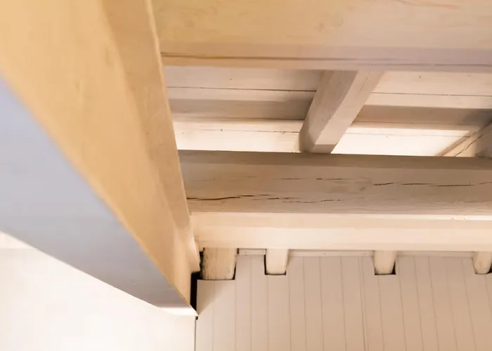 Saccomani * 索马坎帕尼亚